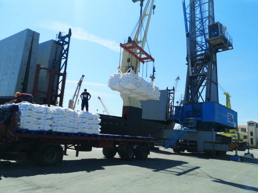 Surveillance, Normalyse, Alger